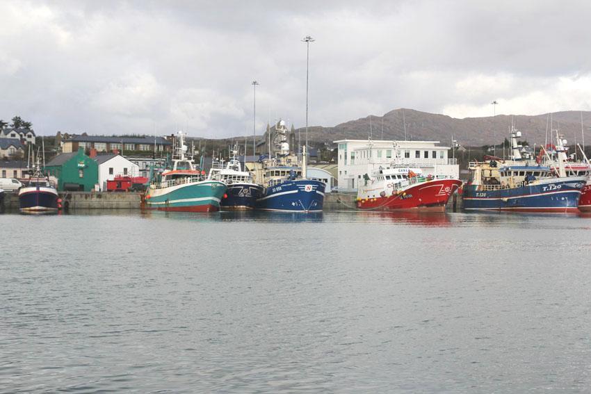 The Beara Coast Hotel Castletownbere Exterior foto